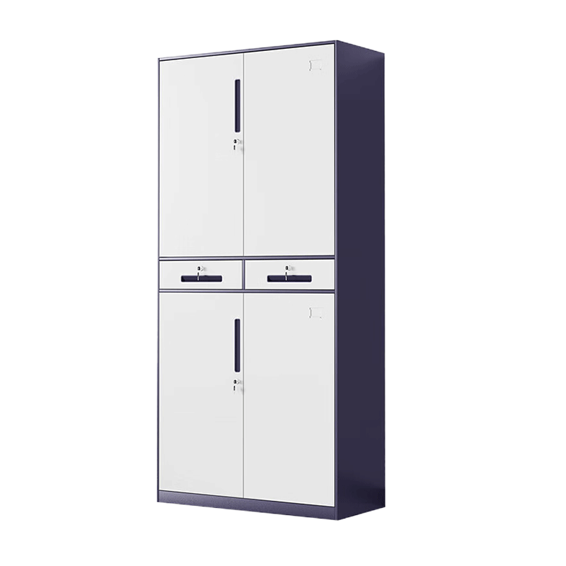 文件柜 办公柜 铁中二斗