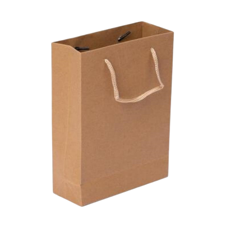 海亚森竖式牛皮纸袋 小号 20*25*8cm 10个/包 TK-9004