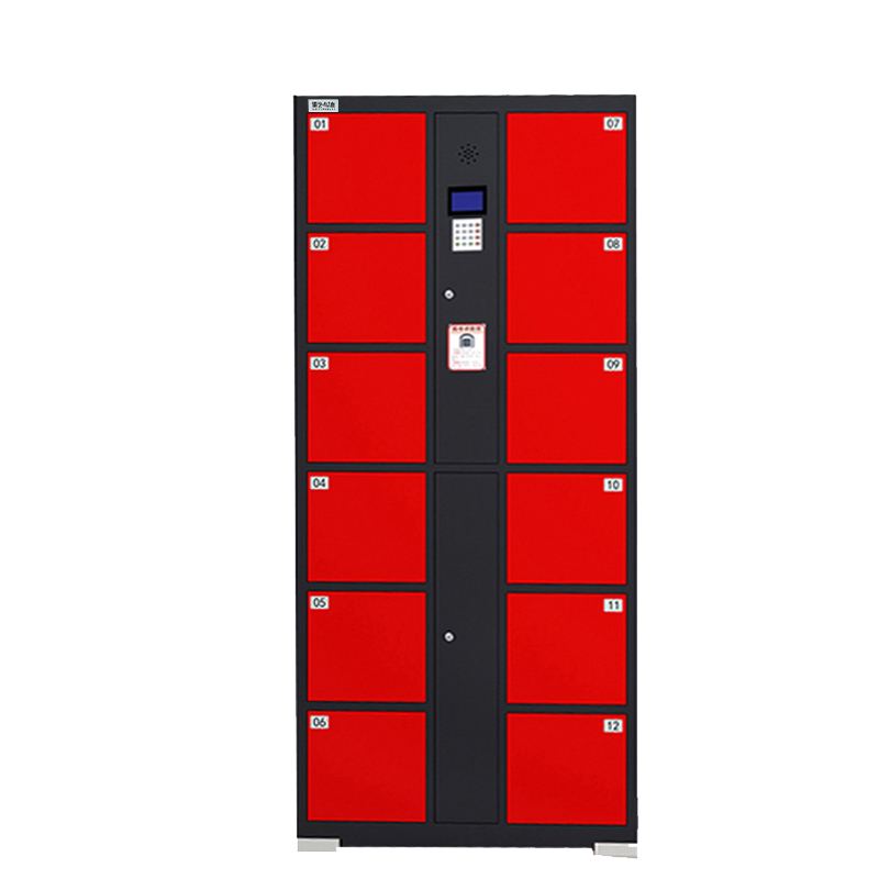 佰艺鸣德 电子存包柜 12门指纹识别 台