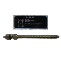 瑞铁磁 不锈钢化学锚栓 M16X190 套