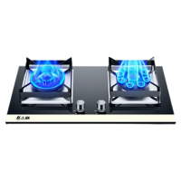 志高(CHIGO)煤气灶双灶家用燃气灶液化气嵌入式天然气灶台式猛火灶炉具_标配猛火铜盖防烫定时_液化气