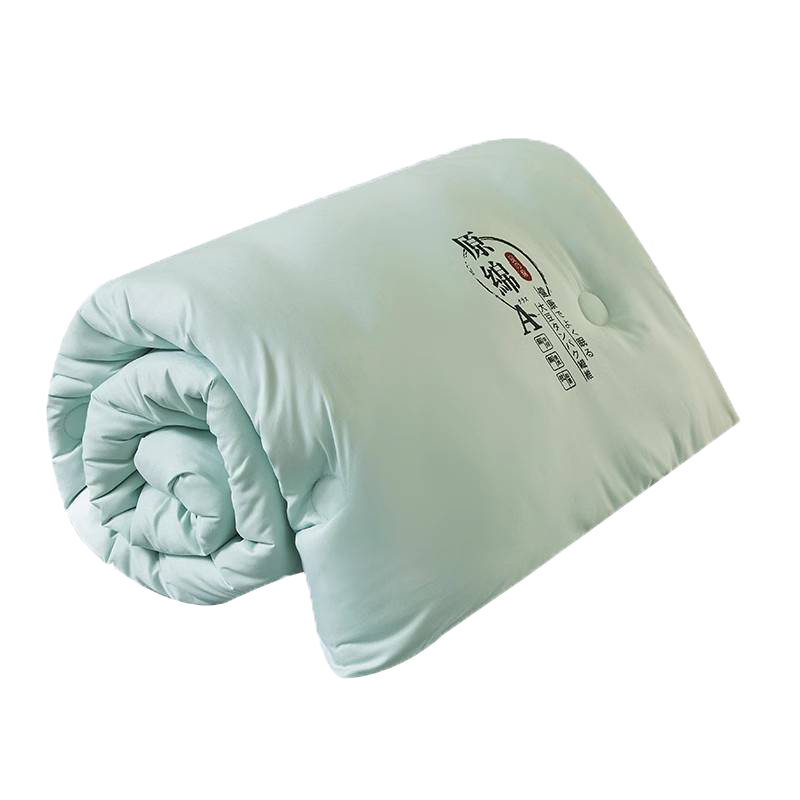 华北昶隆 保暖棉被空调被 200*230cm 1床