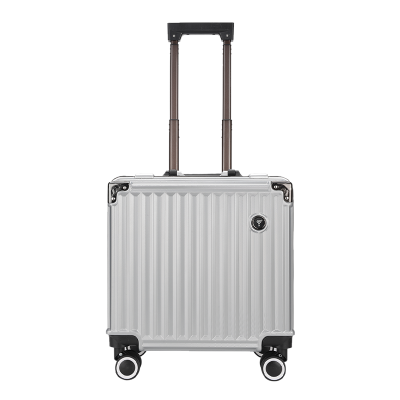 Swi Stand 商务铝框登机箱 18英寸 JD8049