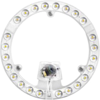 ZLTZM LED灯盘灯芯 24W 个