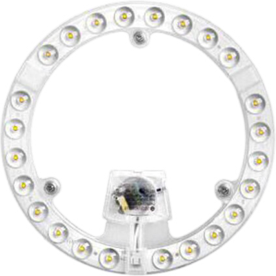 ZLTZM LED灯盘灯芯 24W 个