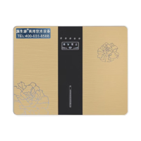 滨生源家用壁挂净水机五级反渗透3.2G压力桶BSY-100RO(台)