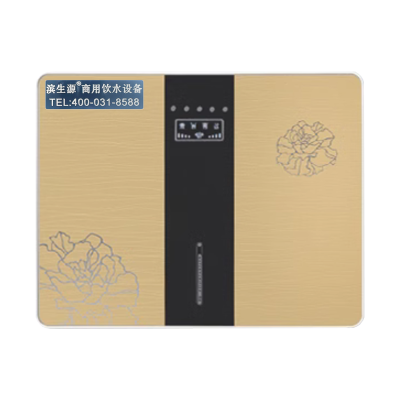 滨生源家用壁挂净水机五级反渗透3.2G压力桶BSY-100RO(台)