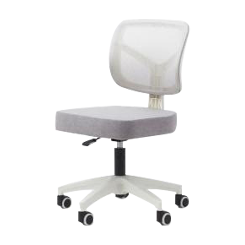 臻远 ZY-6658 办公椅转椅家用网面电脑椅靠背学习椅 会议椅 白胶