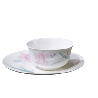 北国风光 花仙子 骨瓷24头餐具TS-0024 套