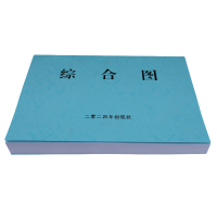 欣和小杨 定制综合图 210*297mm 单位:本