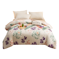 三水依梦印花暖柔被 160*210cm条