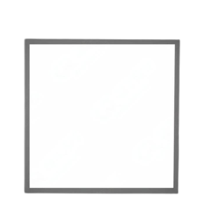 洛安斯 方形吸顶灯 300*600 40W 个