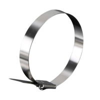 斯赞 304不锈钢自锁式扎带 19*1200mm 根