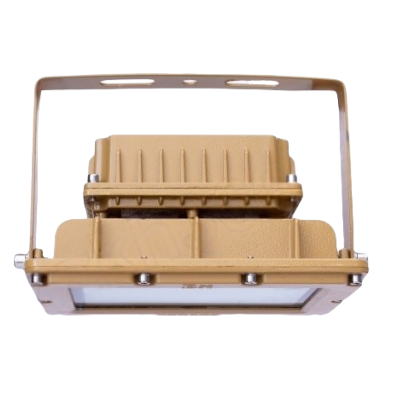 ZHEGUANRONG/浙冠荣 免维护 LED 防爆泛光灯 GRDF103小-50W 个