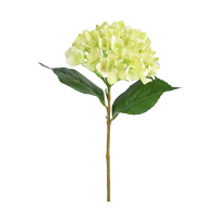 志合欣语 单只绣球 60*18cm 只