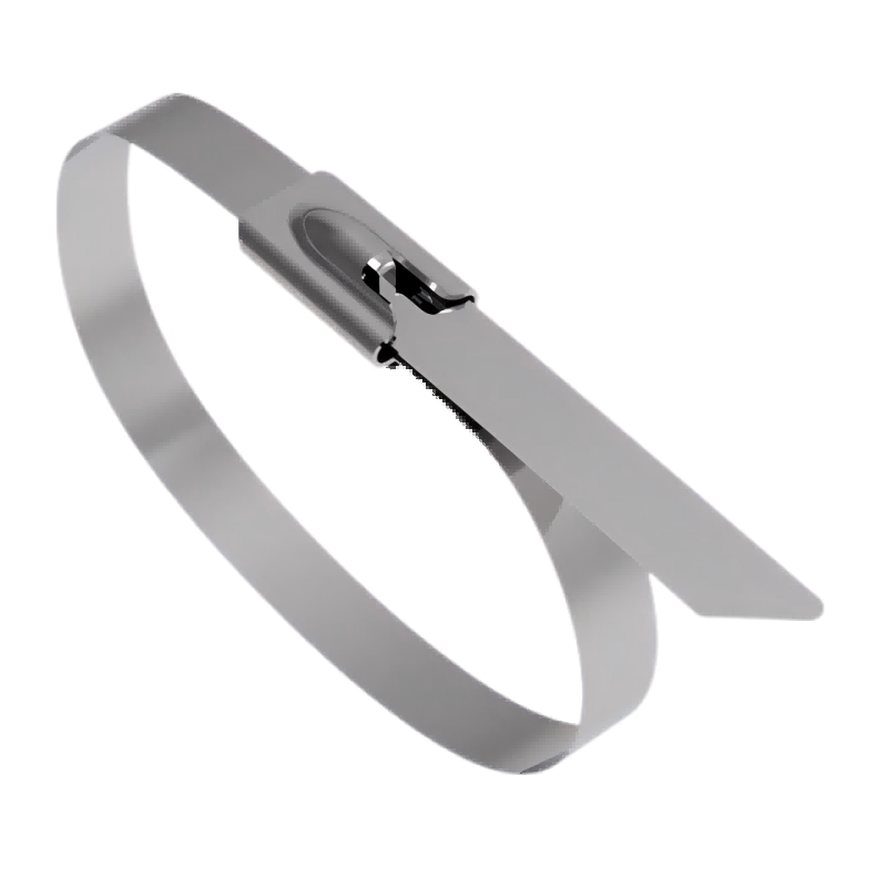 斯赞 304不锈钢扎带自锁式捆绑扎带 12*2800mm 100条/包