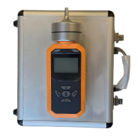 网络型气体测试仪 WT310 1套