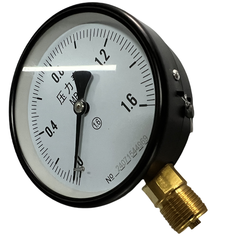 vzi 压力表 Y100 1.6 块