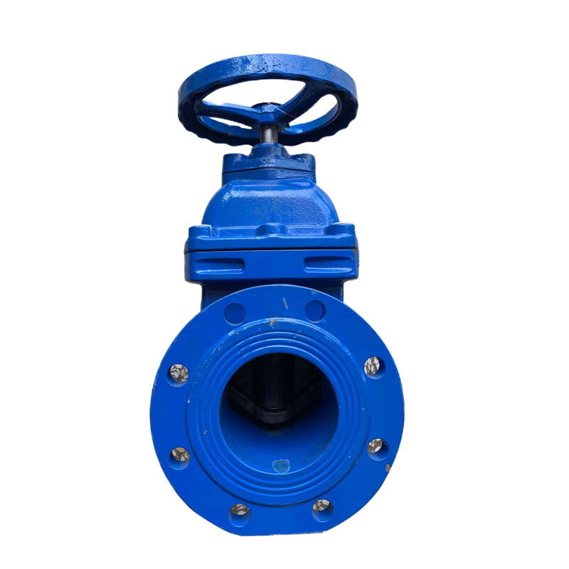 般德 软密封闸阀 DN200台