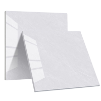 建举 瓷砖 600*600mm 块