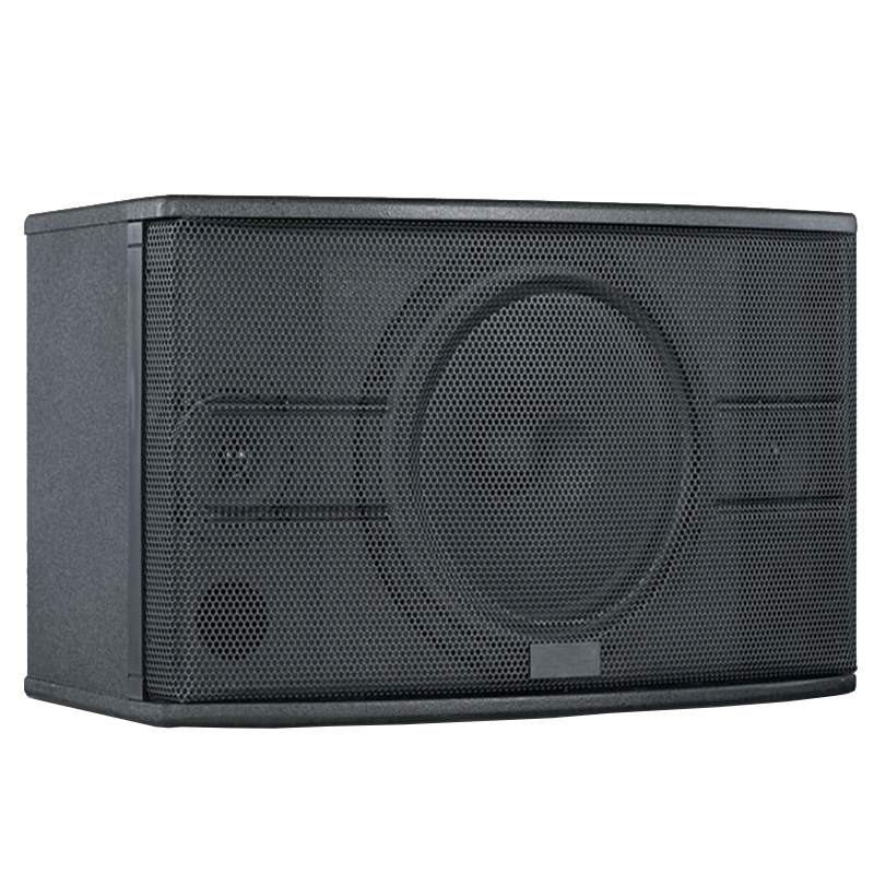 润普会议室展厅教室礼堂报告厅10英寸卡包音箱RP-YZ502