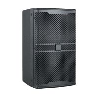 润普RP-HYX605 国产化 音视频会议室展厅教室礼堂10英寸全频专业会议音响/音箱/喇叭扬声器