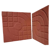 建举 路面砖 300*300*55mm 块