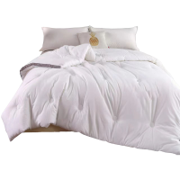 三水依梦全棉提花阳绒被 200*230 条