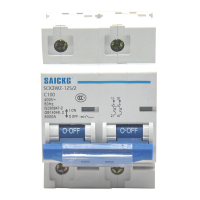 赛驰科技(SAICKG) SCK3WZ-125/2 2P C100 低压智能空气开关