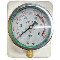 OVN 耐震压力表 Y-100 1.6Mpa 块