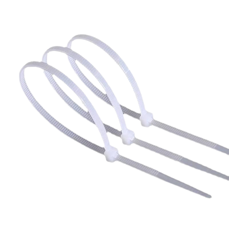 洛安斯 尼龙扎带 5*500/250条 袋