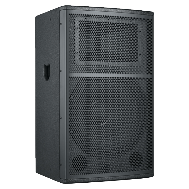 润普国产化会议室展厅教室礼堂报告厅10英寸号角全频会议音响/音箱RP-HYD653