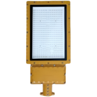 ZHEGUANRONG/浙冠荣免维护led防爆路灯 GRDL122-300W 个