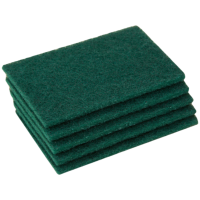 核隆钰 抹布 百洁布加厚15*10cm 块