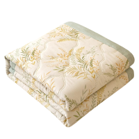 吉迎尚品 夏凉被空调被薄被毛巾被 200x230cm双人 床