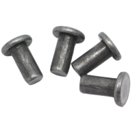 帕尔永固半圆头铆钉20×90mm 个