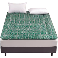 欧梦澜 小绿花硬质棉床垫床褥子 1.0*2.0m 条