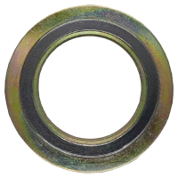 伟鹏双兴 内外环缠绕垫片金属石墨垫 DN15 片