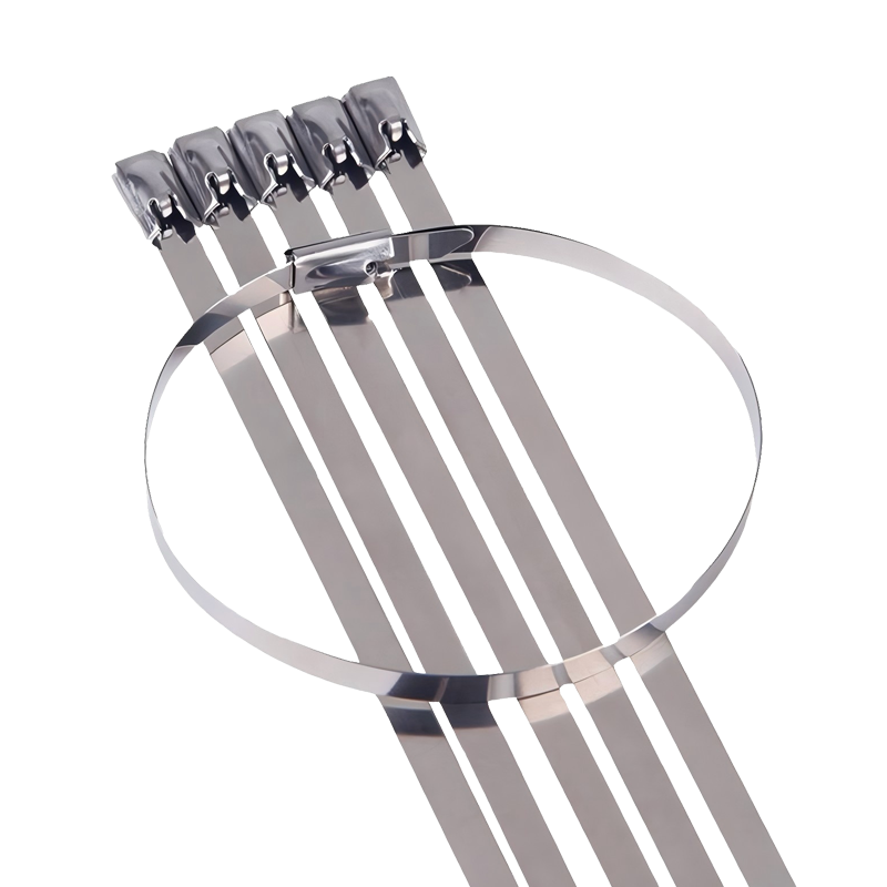 具安金 不锈钢扎带 4.6*1500mm*100条 包