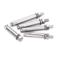 鑫睿辉 膨胀螺栓 M14*100 个