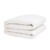 奉妍 棉花褥 FY-200*100cm 床