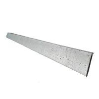 瑞吉君 扁铁 40*1250 单位:根