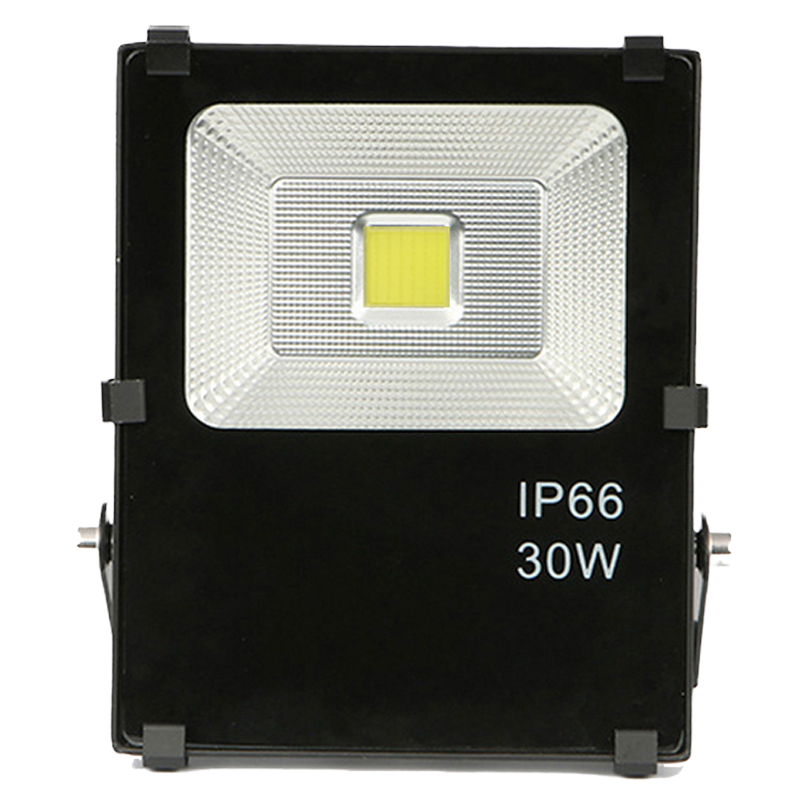 利成照明 投光灯 LC1320-30W