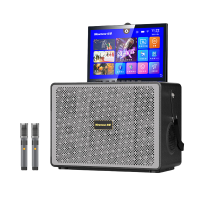 纽曼(Newsmy)N526户外广场舞音响带显示屏K歌蓝牙音箱KTV套装卡拉OK一体机点歌机