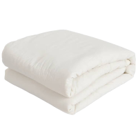 中盈惠彩 褥子 1000*2000mm RZ-02 4斤 条