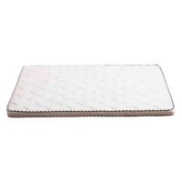 阔飞 棕垫 1000*2000 张