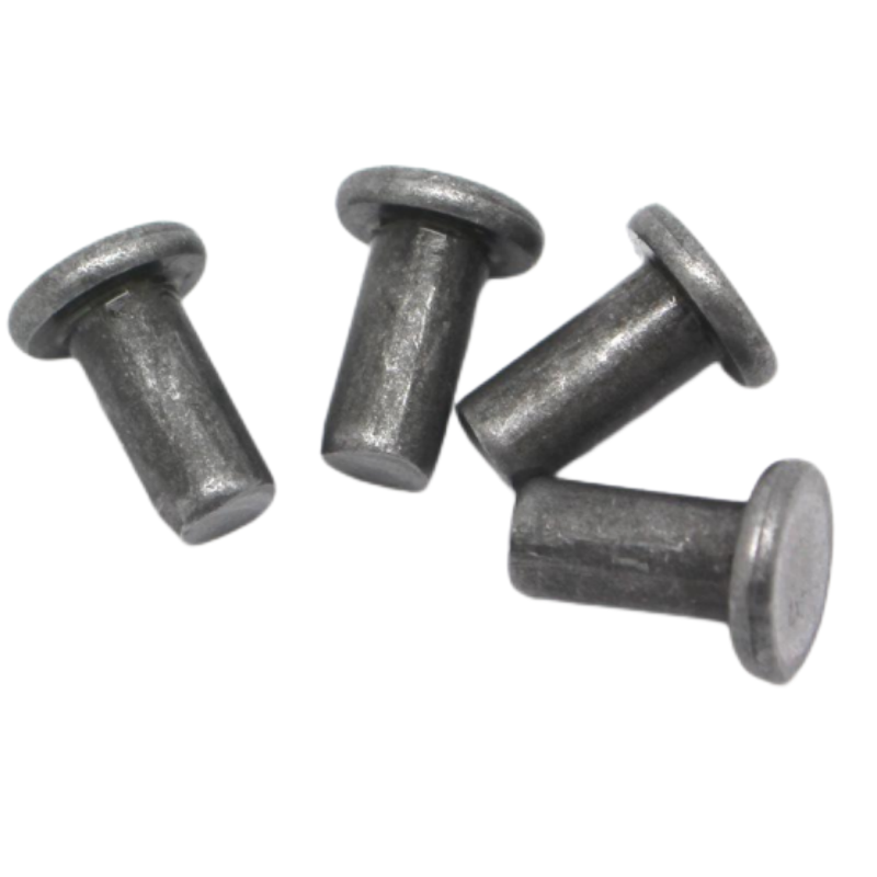 帕尔永固半圆头铆钉6×25mm 个