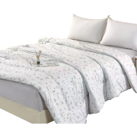 三水依梦 活性磨绒冬被 160*210CM 条