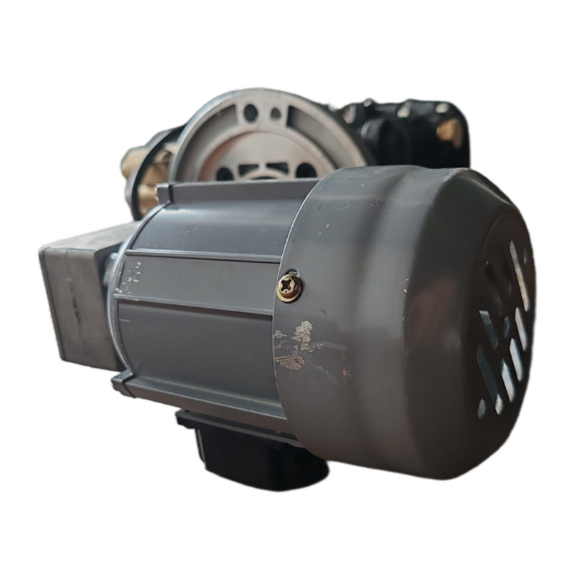 vzi 电机总成 380V 5KW(带泵头)套