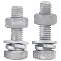 帕尔永固镀锌穿钉(带垫片带母)(M16×100) 套